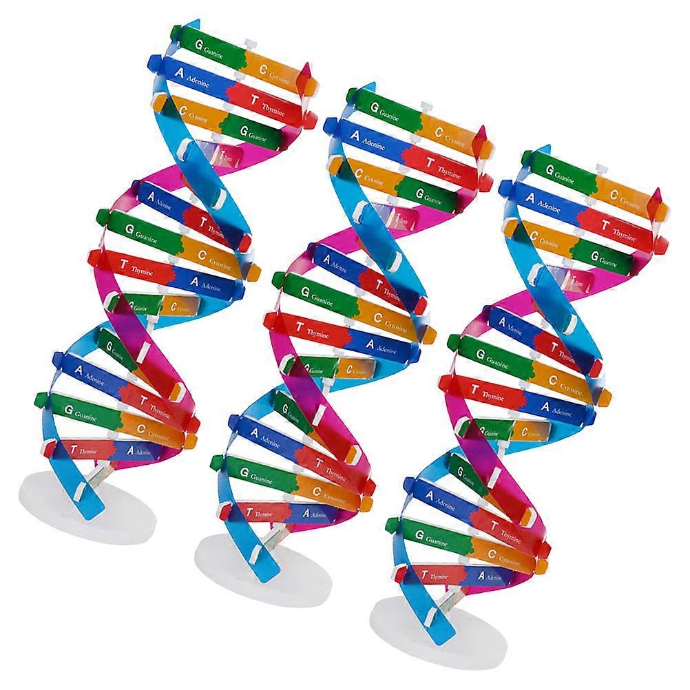 Gene Model Dna Structure Model Kit for Science Learning 3Pcs DIY Kit