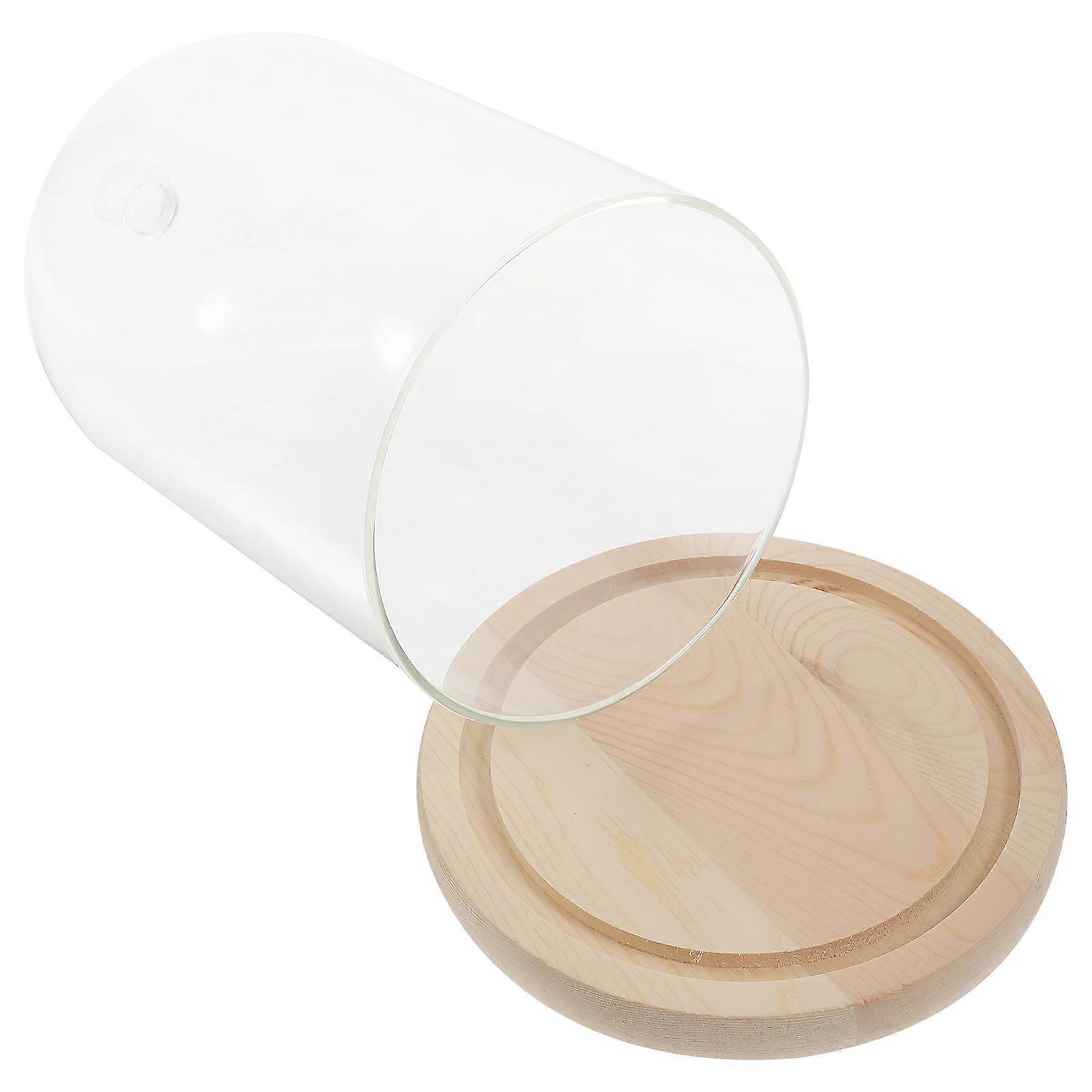 Glass Display Holder Dome Shape for Party Decorations Assorted Wood Storage 1Set