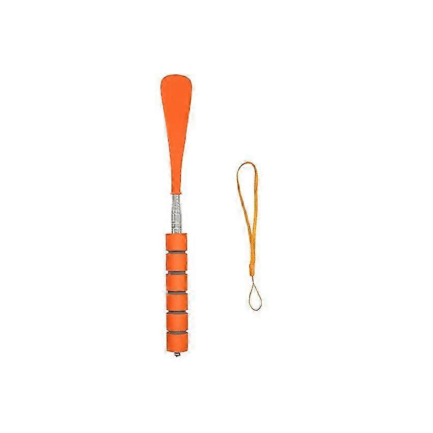 Stainless Steel Extendable Shoe Extractor