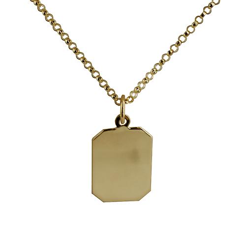 9ct Gold 18x12mm plain rectangular Disc with belcher Chain 20 inches