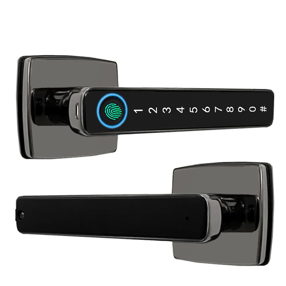 Fingerprint Smart Door Lock With Handle 4 In 1 Keyless Entry