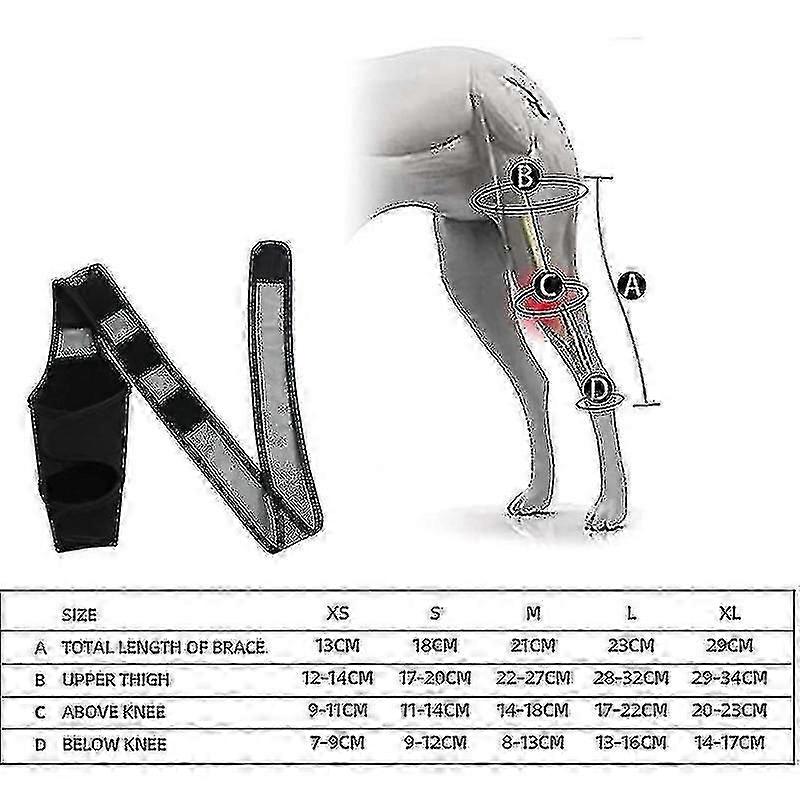 دعامة ركبة للكلاب، دعامة ساق الكلب لتمزق الرباط الصليبي الأمامي، دعامة ورك الكلب للساق الخلفية لخلع الرضفة، تعافي أفضل مع دعامة ركبة الرباط الصليبي الأمامي للكلاب