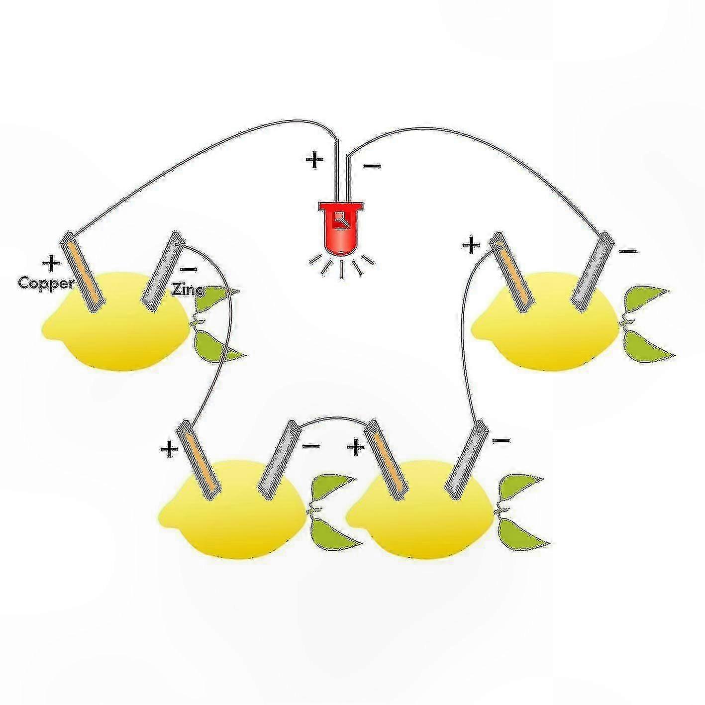 Fruit-Powered LED Science Kit for Physics Experiments with Orange, Potato, Lemon Batteries