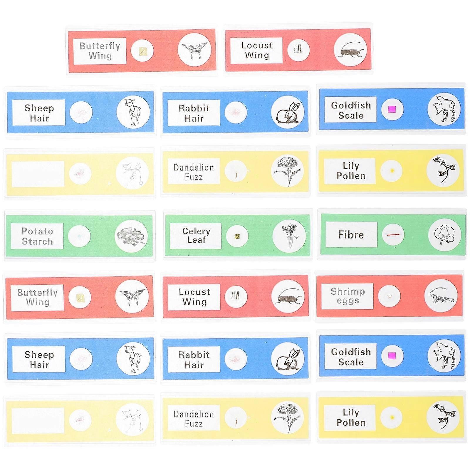 Sample Microscope Slides Plastic Collection for Education 36Pcs Assorted