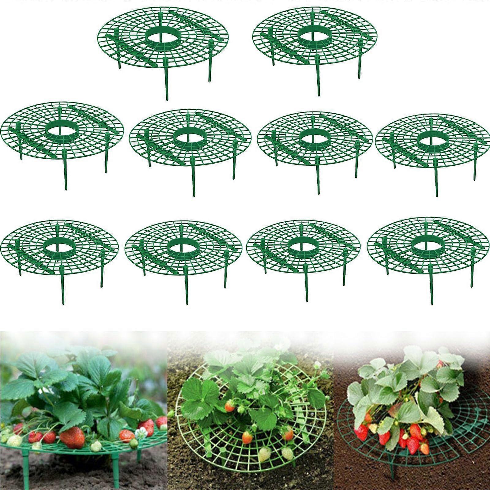 Strawberry Plant Support 15 Pack Adjustable Growing Rack Keeps Berries Clean Prevents Ground Rot