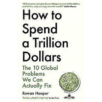 Hvordan bruke en billion dollar: De 10 globale problemene vi faktisk kan fikse