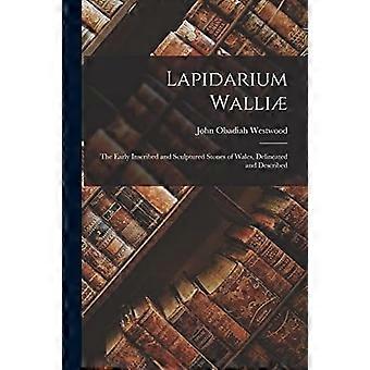 Lapidarium walli the early inscribed and sculptured stones of wales, delineated and described