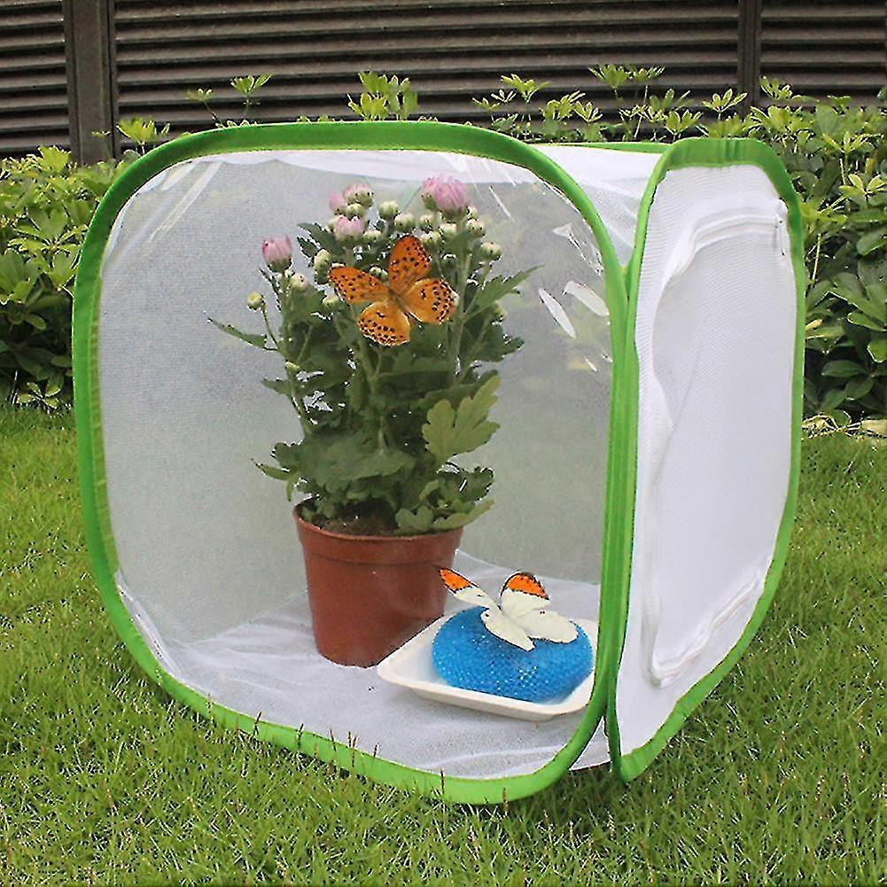 Lightweight Butterfly Rearing Cage