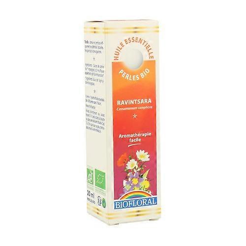 Ravintsara Essential Pearls 240 softgels of 20ml