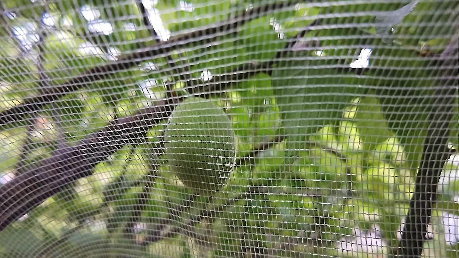 2 Pack Fruit Tree Netting 1m*1.5m, Fine Mesh Insect Netting with Drawstring-Yvan