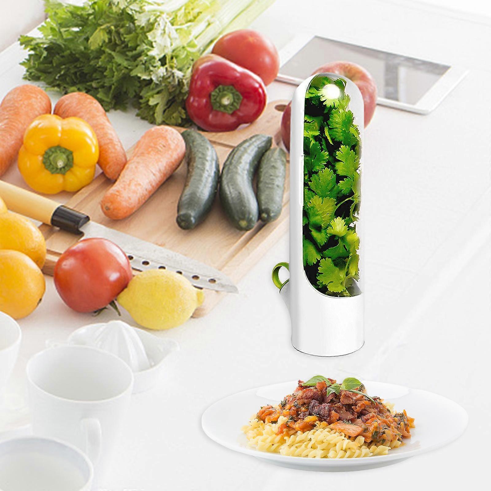 Herb Storage Container Keeps Greens Vegetables Fresh for Kitchen Utensils