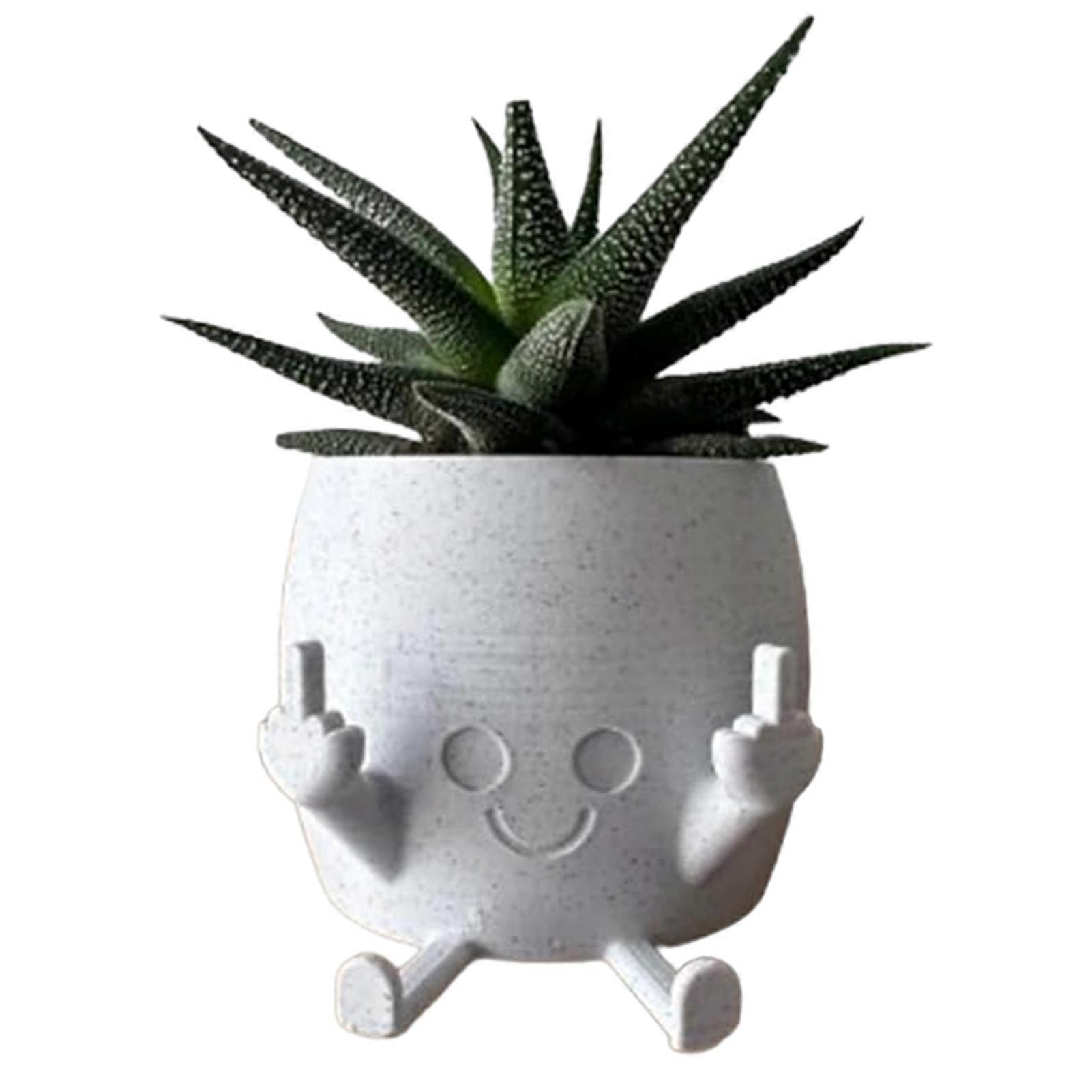 Funny Shape Resin Flower Pots Distinctive Shape Fashionable Flowers Pots for Indoors