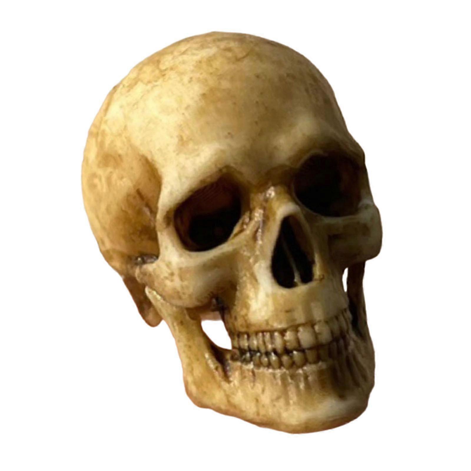 1/12 Scale Human Beings Skeleton Part Model Mini Skeleton for Tabletop Decor With chin