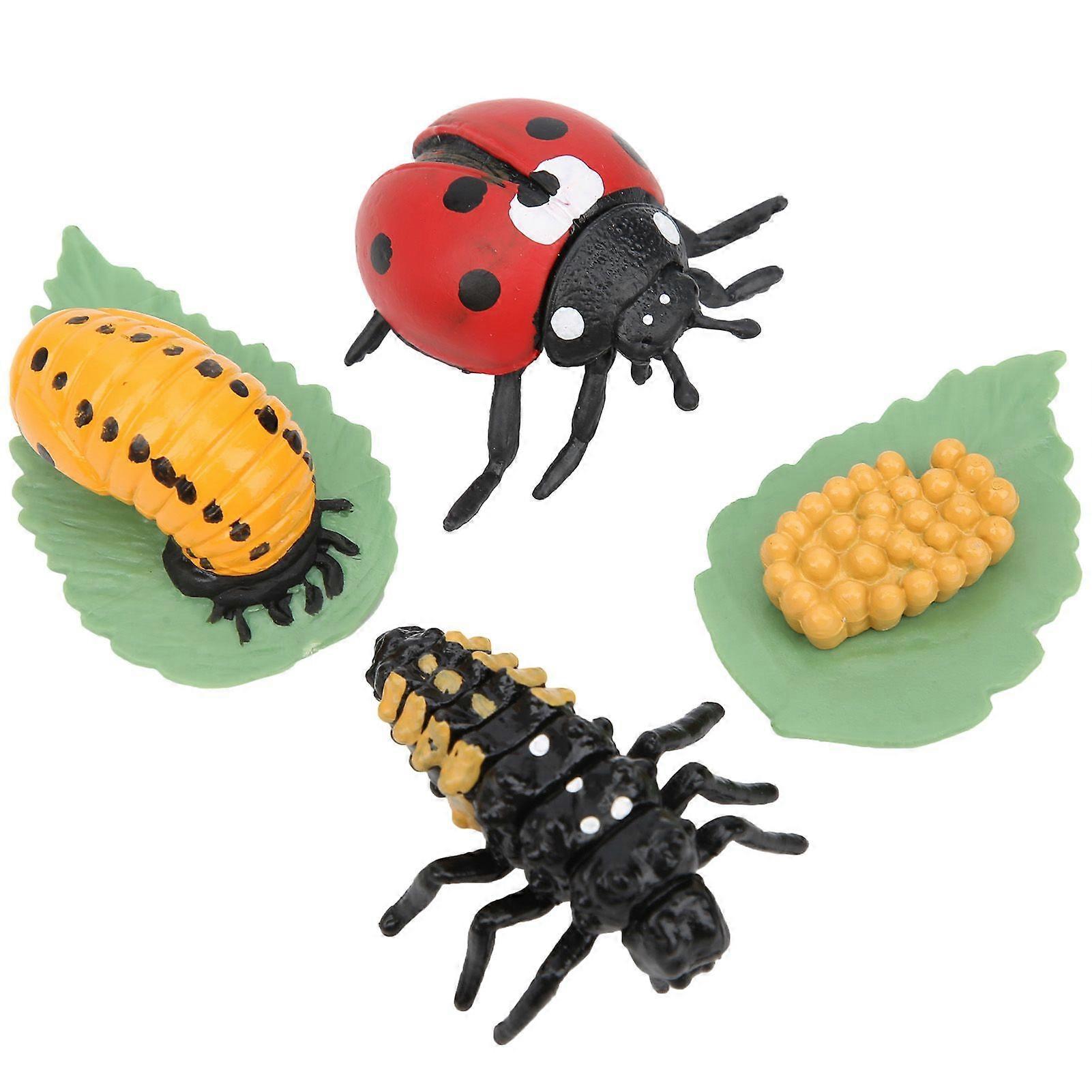 Highly Simulation Insect Model Toy Educational Children Kid Ladybug Model Toy GiftLadybug