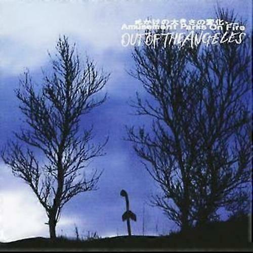 Amusement Parks On Fire Out of Angeles CD (2006)