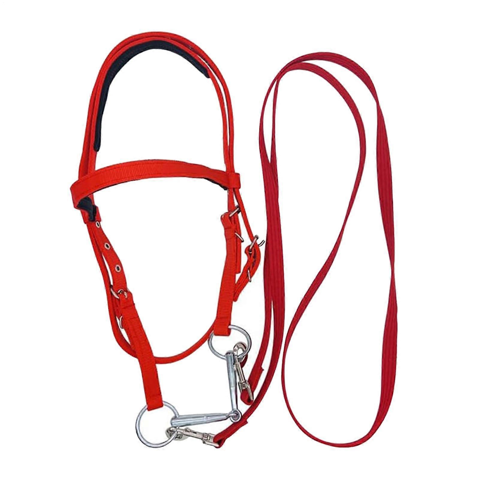 Horse Headstall, Riding Bridle, AntiTear Nylon with Soft Lined Noseband, Adjustable Browband Snaffle, Red