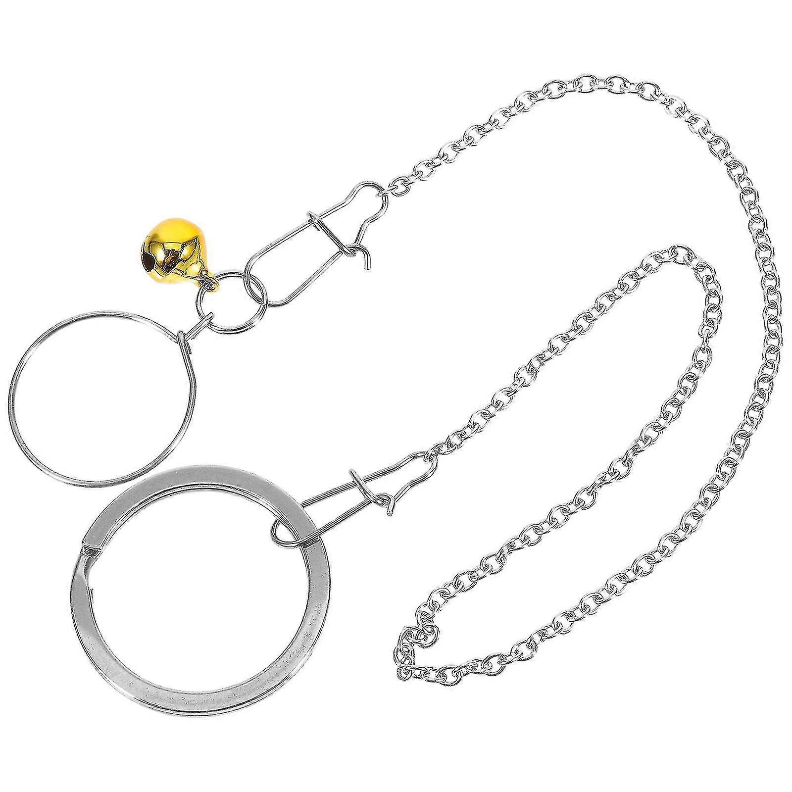 1 Set Papagaio Bell Neck Ring Papagaio Collar Chain Fly Training Collar Círculo com Corrente