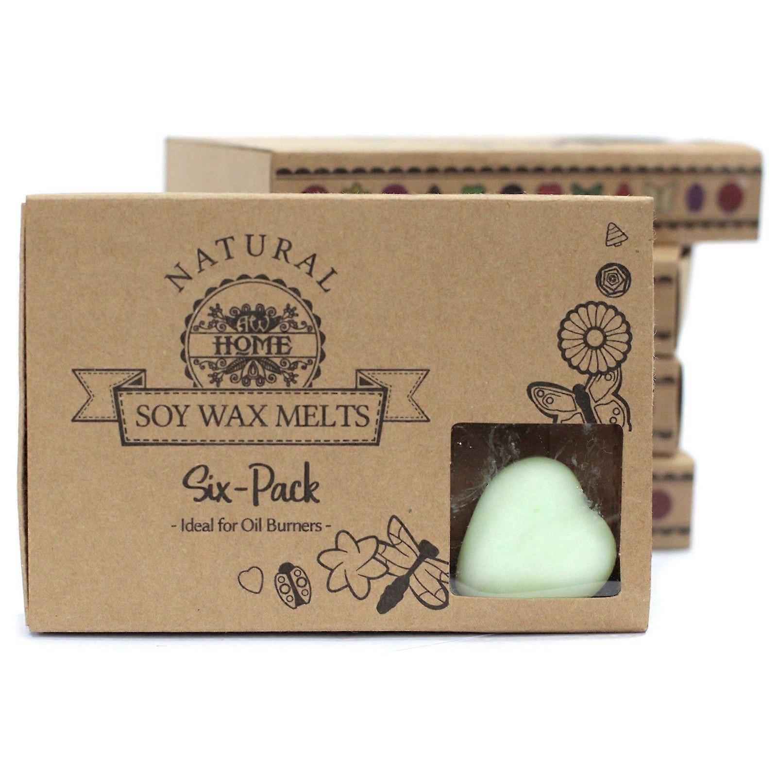 Boîte de 6 Wax Melts - Pastèque Fresh X 1
