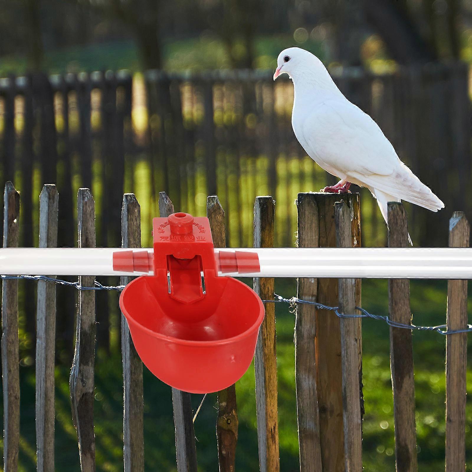 Adjustable Automatic Drinking Bowl for Chickens 30Pcs Bird Waterer