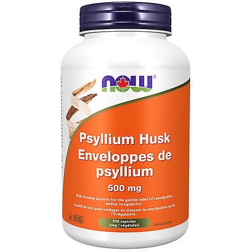 Psyllium Husk,500mg,500 Caps by Now