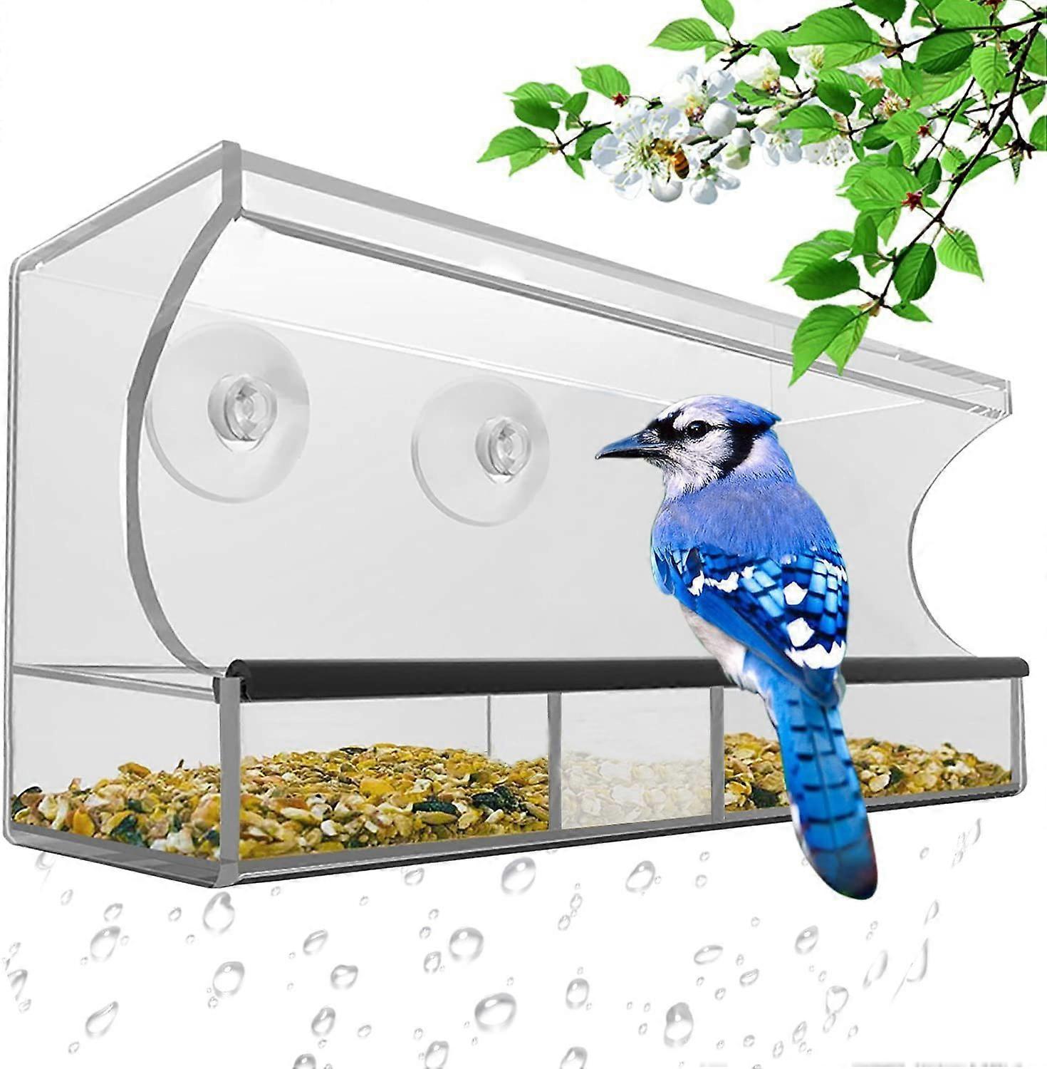 Window bird feeder bird feeder with removable tray, drainage holes and suction cups