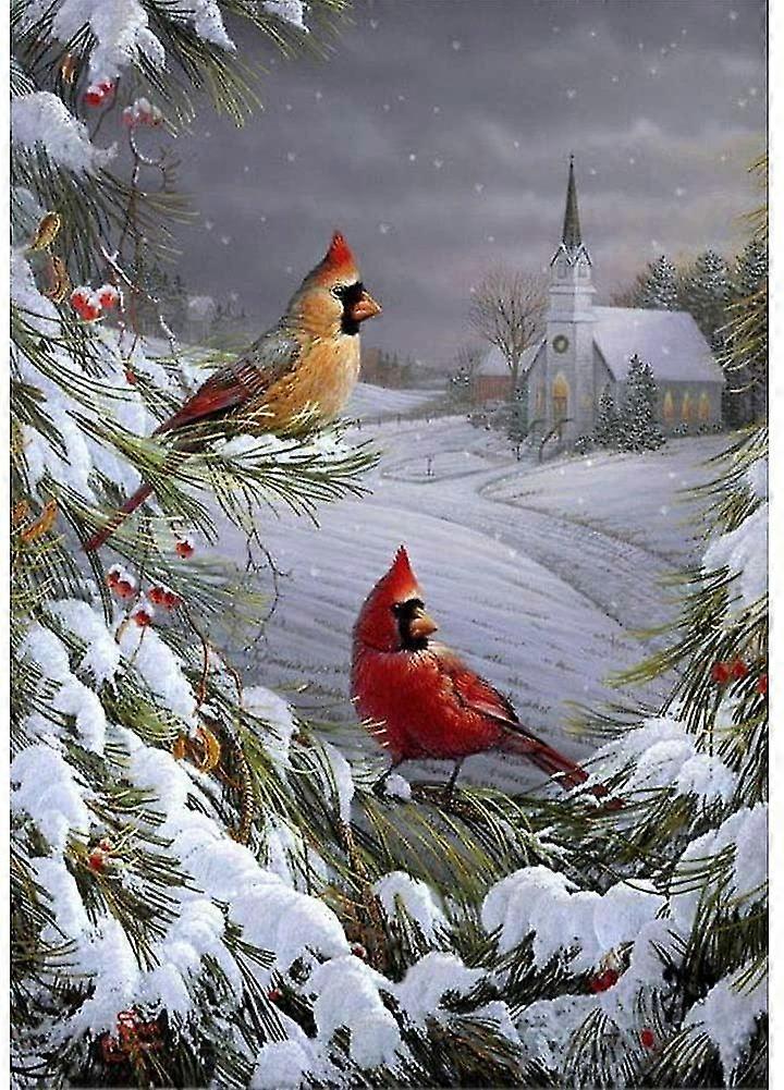 Diy 5D الماس اللوحة حسب الأرقام مجموعات، الكرادلة الطيور، الحفر الكامل أحجار الراين الطلاء مع الماس كريستال الماس الفن (الطيور)