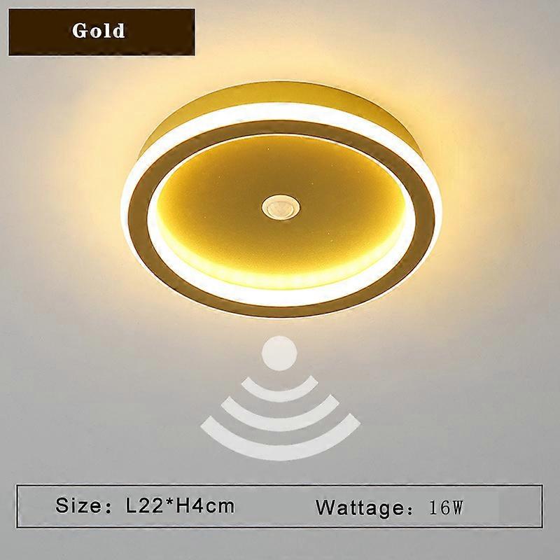 PIR Motion Sensor LED Ceiling Lamp for Aisle Corridor 220V Indoor 14w 16w Human Body Sensor LED Ceiling Lighting for Bedroom