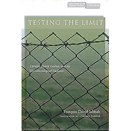 Testing the Limit: Derrida, Henry, Levinas, and the Phenomenological Tradition (Cultural Memory in the Present