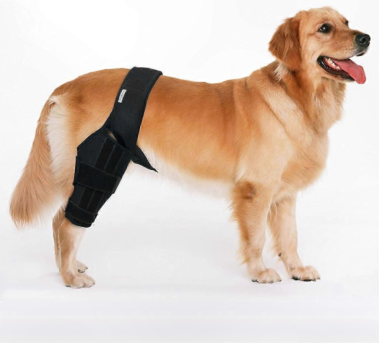 Support Brace for Dog Hind Leg, Adjustable Knee Support for ACL and CCL Issues, Medium Size