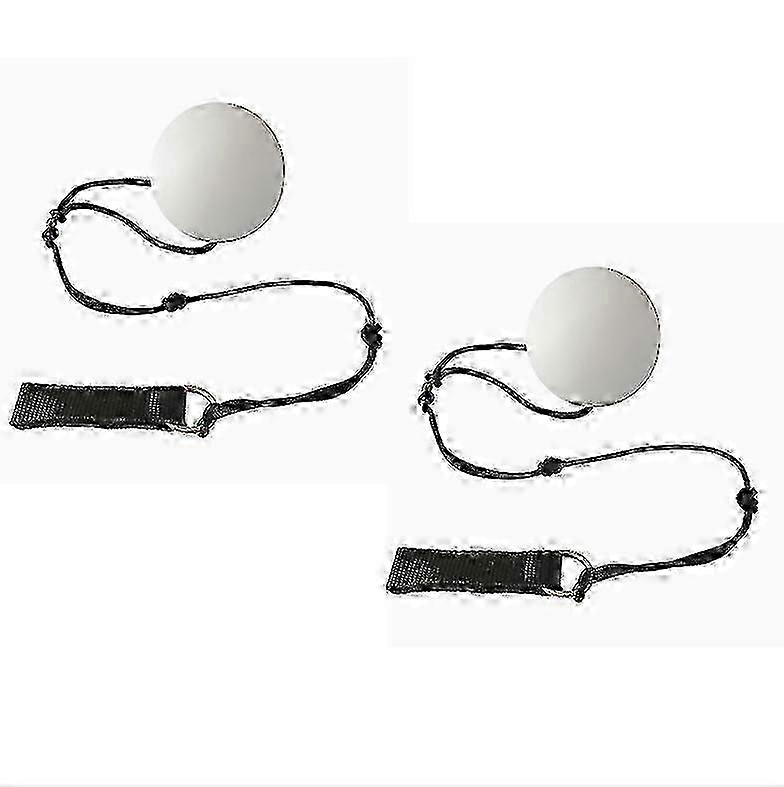 Set of 2 LED Poi Juggling Balls with Rainbow Colors and a Strobe Effect