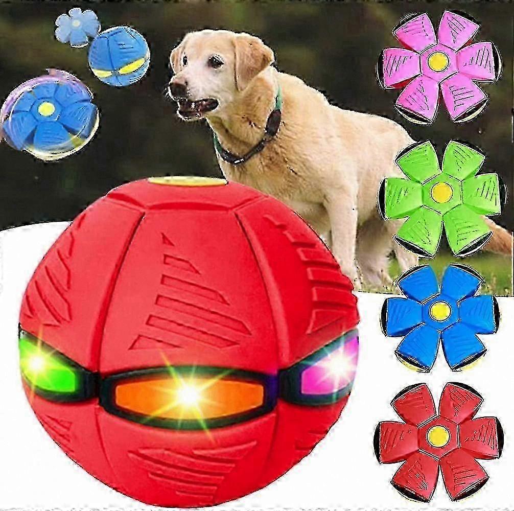 Interactive Flying Disc Dog Toy for Playful Pets