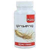 Ginseng 60 capsules