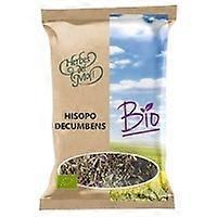 Eco Leaf Hyssop 40 g