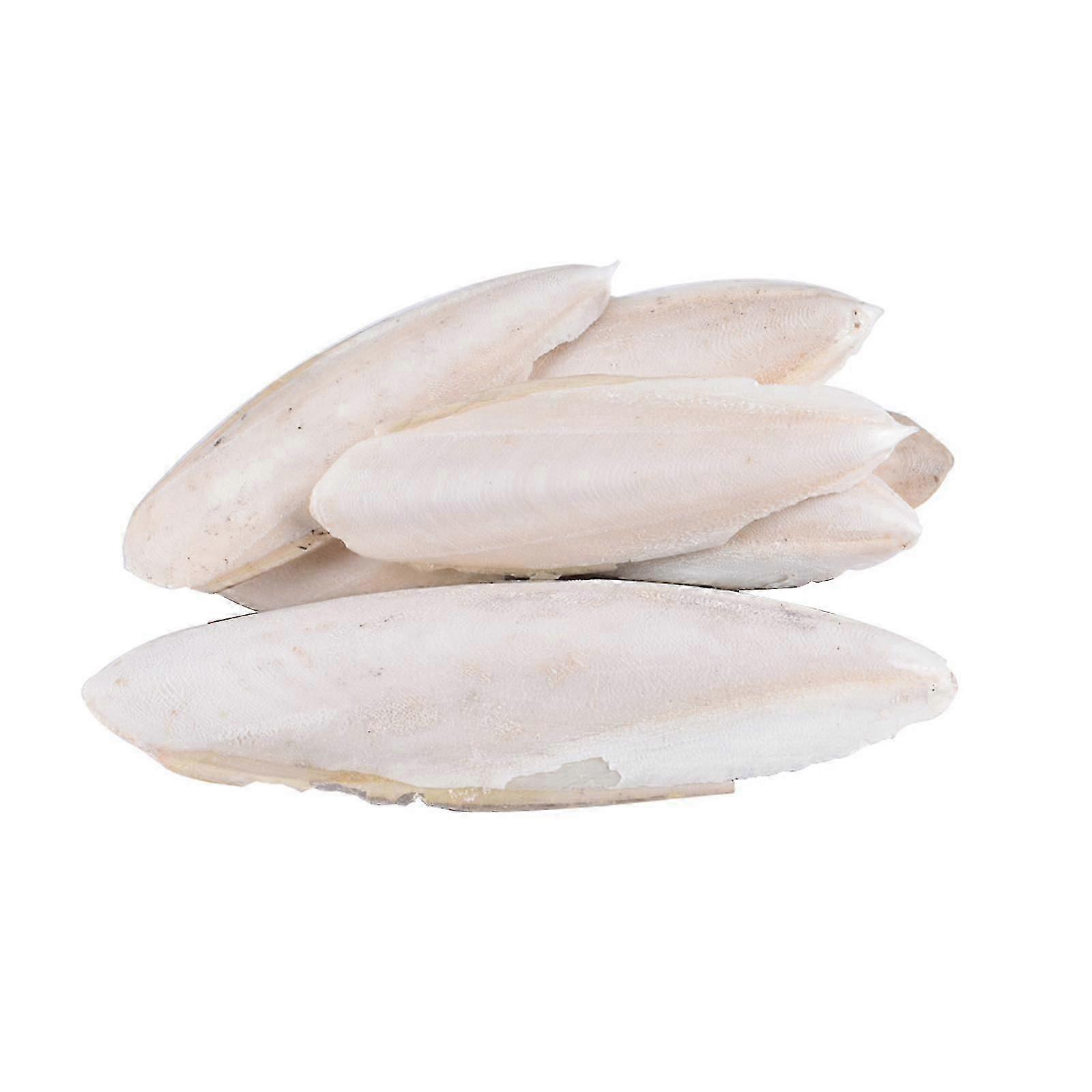 saco Cuttlebone Choco Osso Sépia Choco Comida de Peixe Cálcio Pickstone