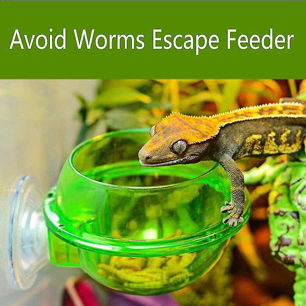 Bearded Dragon Tank Hookable Chameleon Feeding Bowl Bugs Bar With Column For Prey To Climb And Move, Suitable For Lizard, Bearded Dragon, Iguana, Gecko, Toad Bearded Dragon Accessories