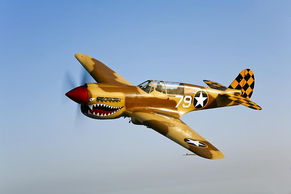 A P-40N Warhawk in flight. Poster