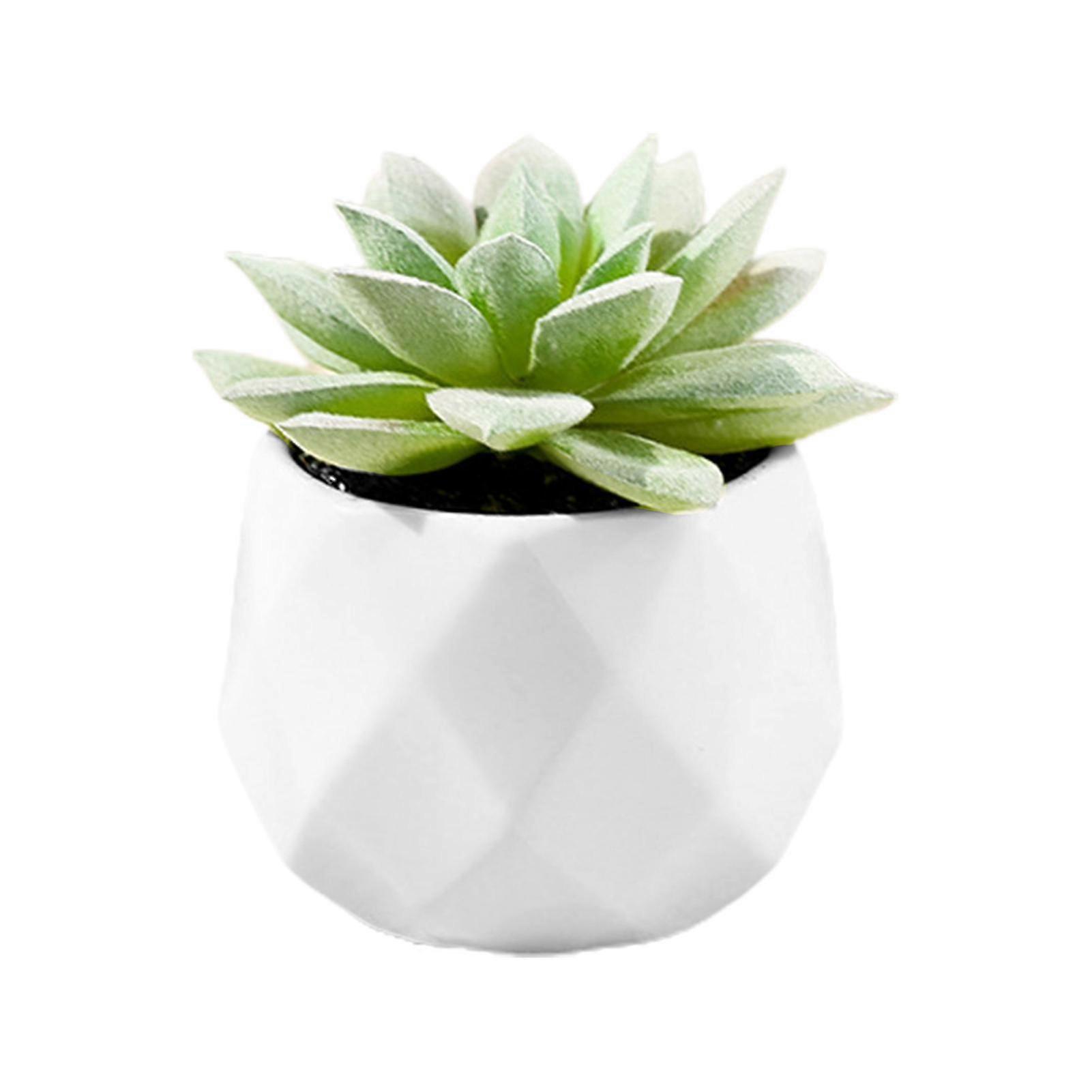Succulents Potted Simulation With Flower Pot Mini Different Artificial Succulents Potted Plant For Home