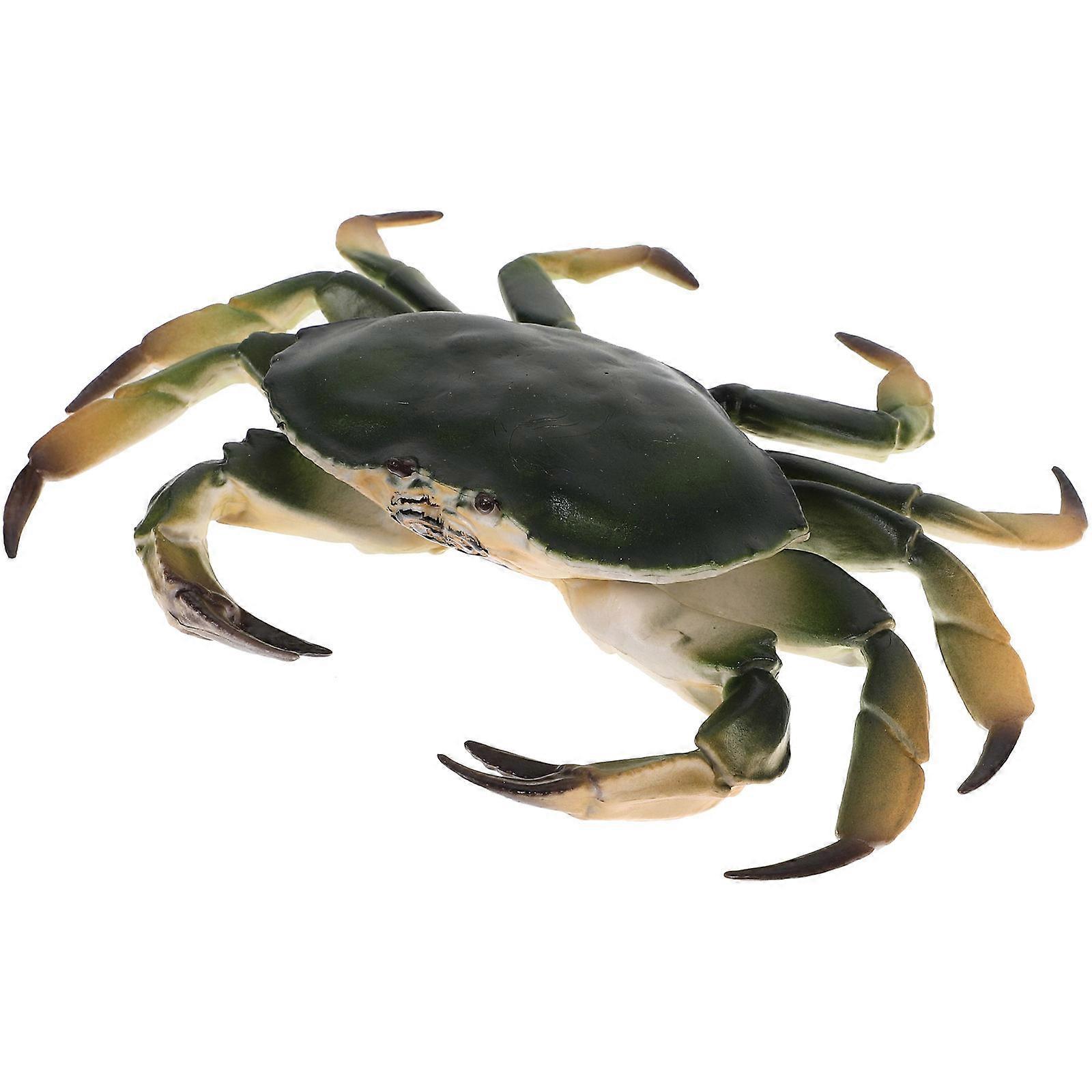 Plastic Crab Model Realistic Crab Model for Decor 4Pcs Simulation Animal Figurines