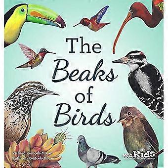 The Beaks of Birds