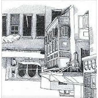 Architettura domestica tradizionale della regione araba