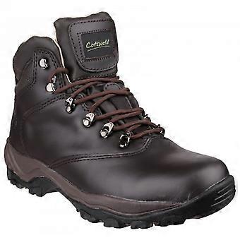 Cotswold Womens/Ladies Winstone Lace Up Boots