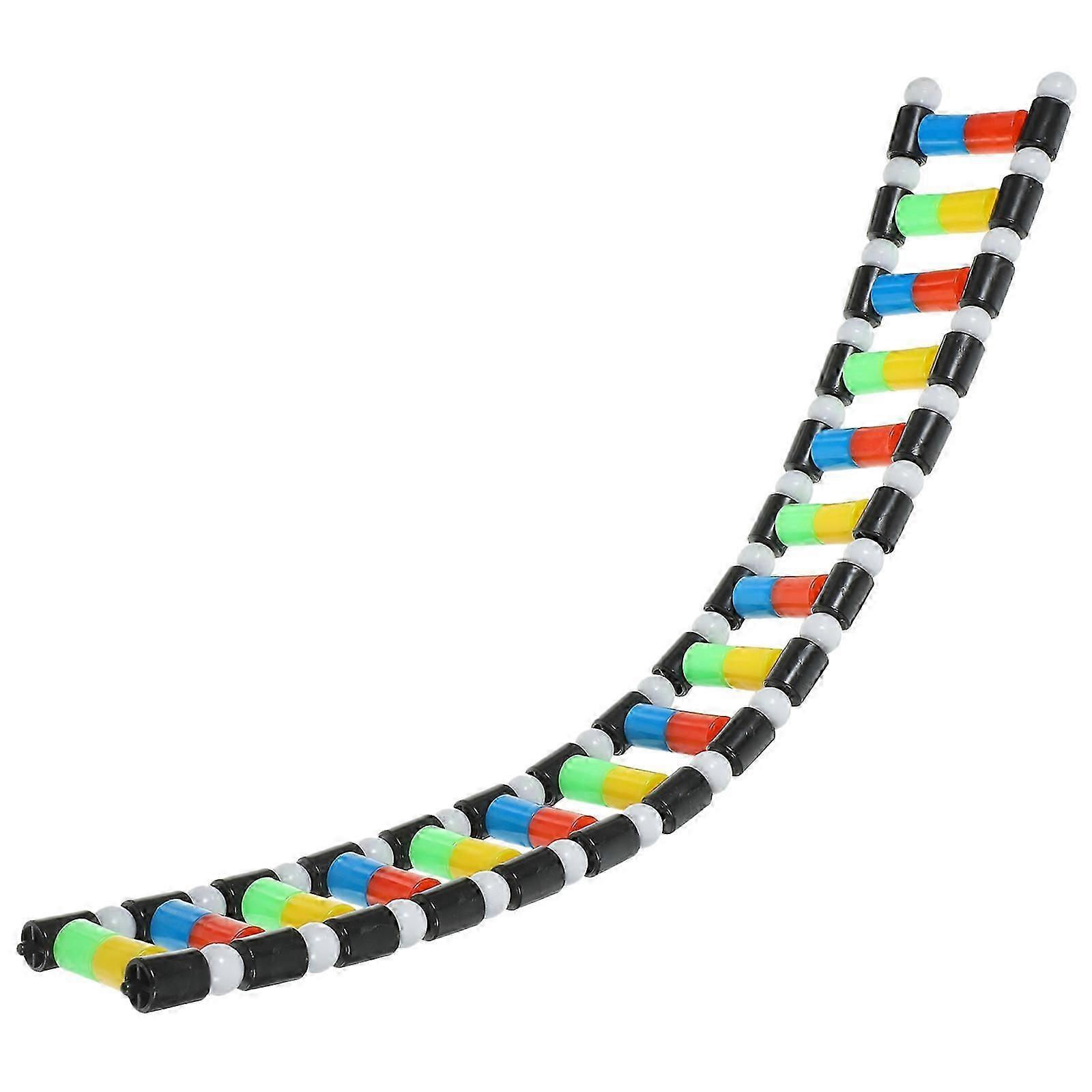 Biology Teaching Tool DNA Model Kit | Plastic Science Education Kit