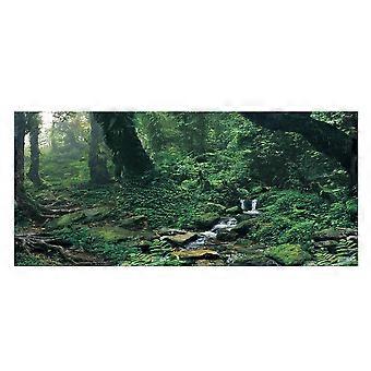 PVC-Kleber Riverway Green Woods Aquarium-Hintergrund-Poster-Aufkleber Fischtank-Dekoration (S)