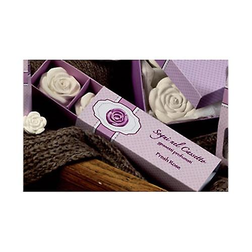 Large Scented Roses 3 units