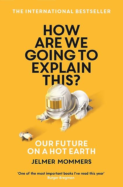 How Are We Going To Explain This by Jelmer Mommers Paperback Book