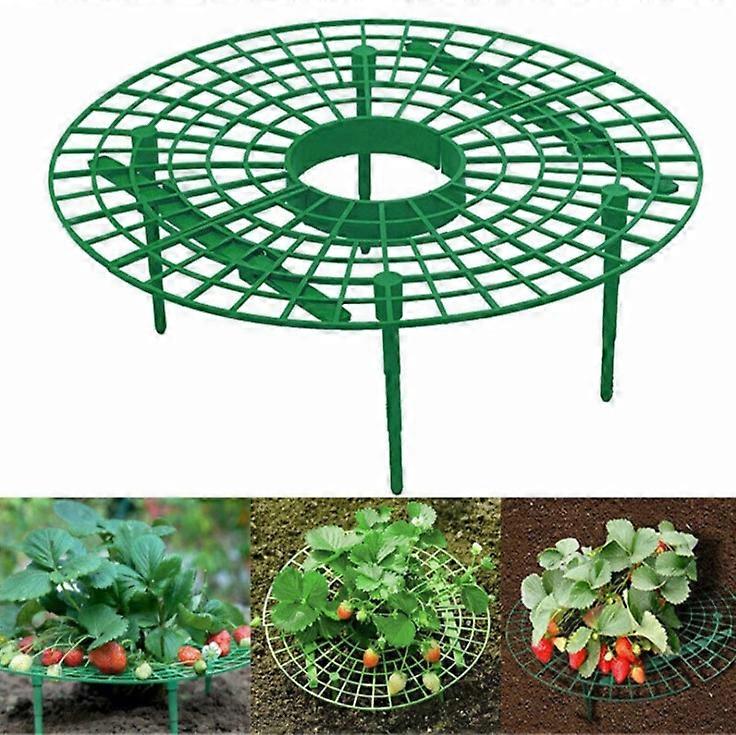 10pcs Plant Plastic Tool Strawberry Stand Growing Circle Support Rack Farming Improve Harvest Frame Lightweight Removable Easy Install Green