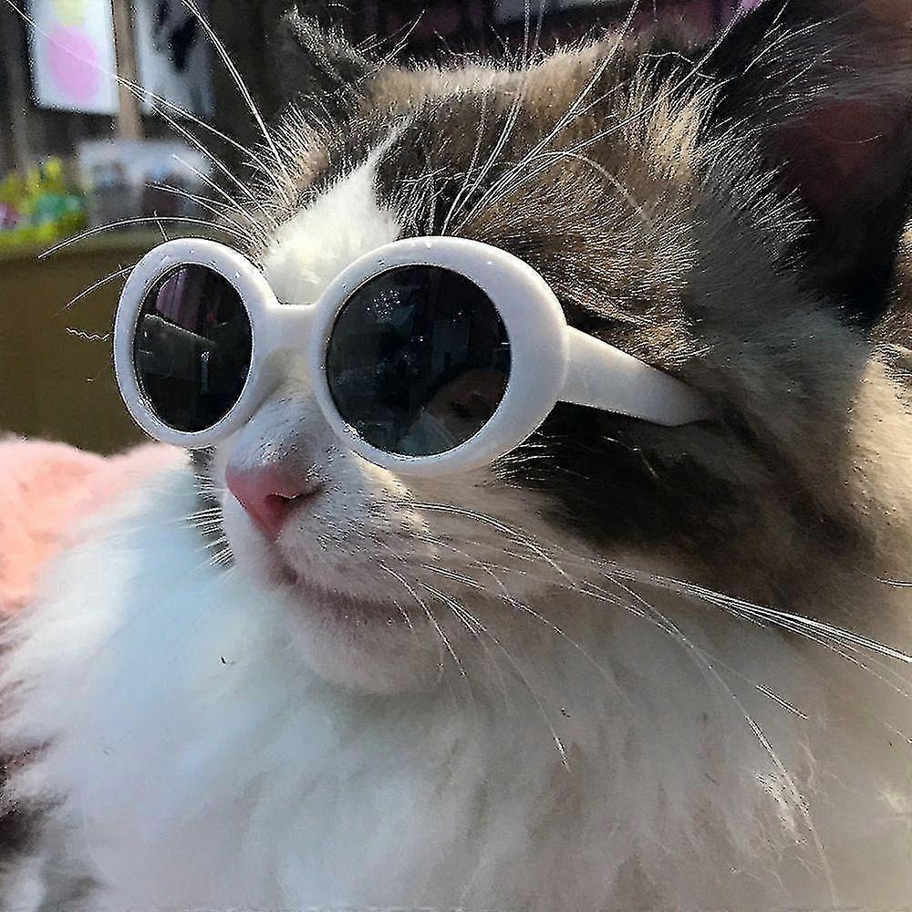 Lunettes De Vue Vintage Années 1950 Style œil De Chat - Monture Aluminium Beige US - Taille M/C 4-5 1/4