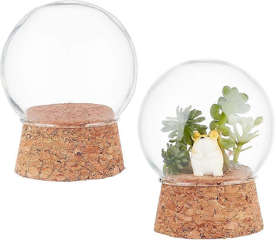 Glass Dome Cover Decorative Display Case Cloche Bell Jar Terrarium with Cork Base Arch Clear 49.5x62mm