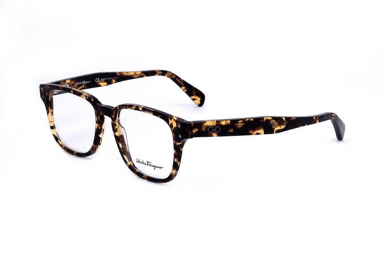 Eyewear Frames Ferragamo SF2924  VINTAGE TORTOISE 51/17/150 MAN