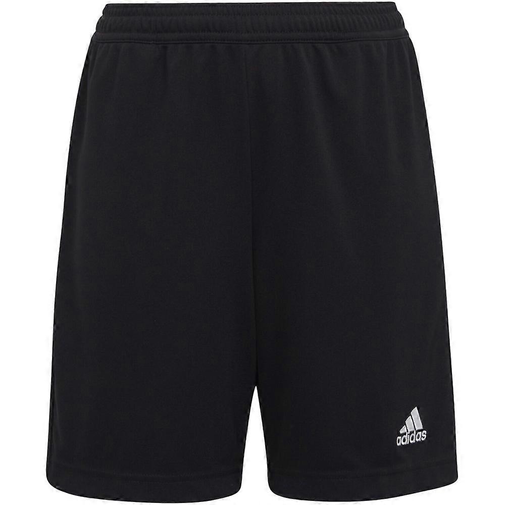 Adidas Childrens/Kids Entrada 22 Training Shorts